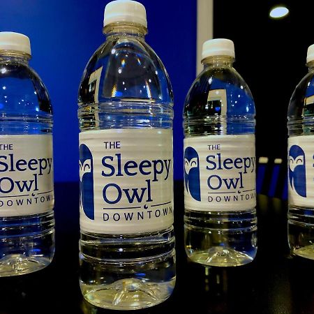 Hotel The Sleepy Owl Fort Frances Exteriér fotografie